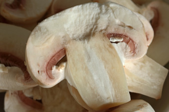 Картинка еда грибы +грибные+блюда шампиньоны макро