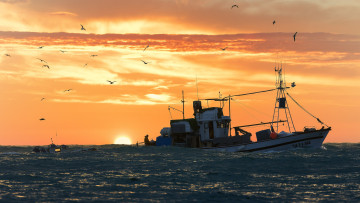 обоя корабли, траулеры,  сейнеры,  плавбазы, рыболовное, судно