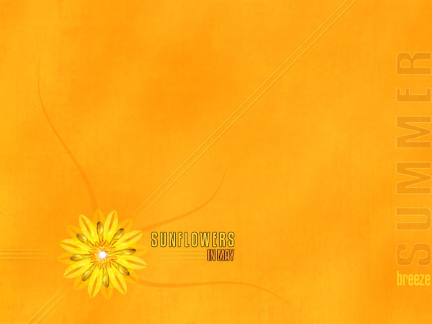 Обои картинки фото компьютеры, desktop, decor