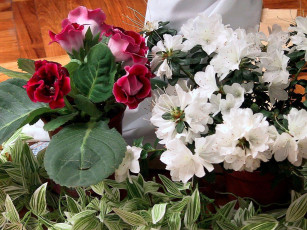 Картинка цветы разные вместе