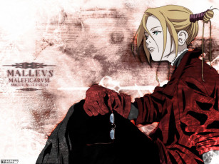 Картинка аниме witch hunter robin