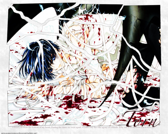 Обои картинки фото аниме