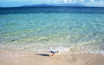 Картинка природа моря океаны