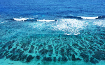 Картинка природа моря океаны