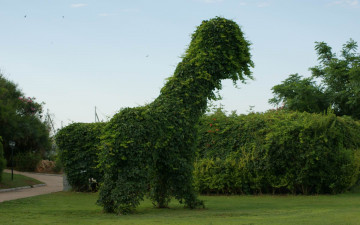 Картинка природа парк