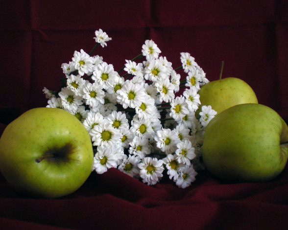 Обои картинки фото еда, Яблоки