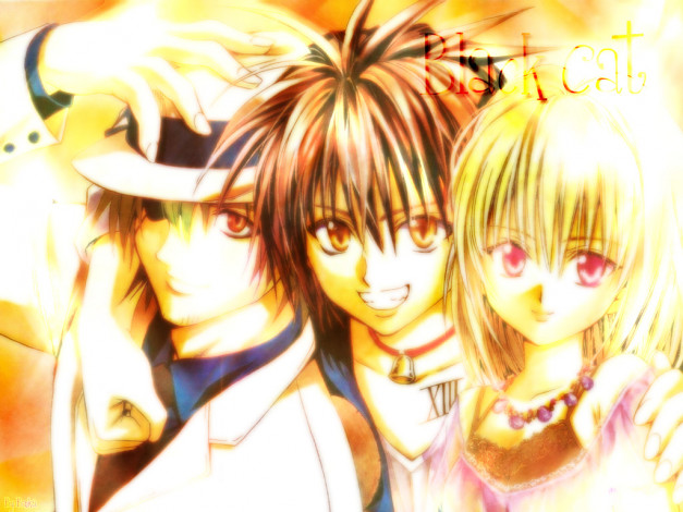 Обои картинки фото аниме, black, cat