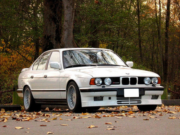 Обои картинки фото автомобили, bmw