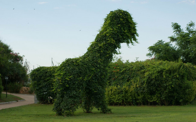 Обои картинки фото природа, парк