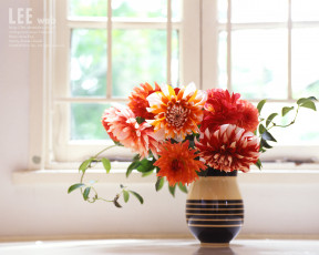 Картинка цветы георгины