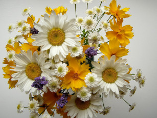 Картинка цветы букеты композиции синие белые желтые