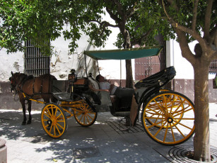 Картинка разное люди экипаж