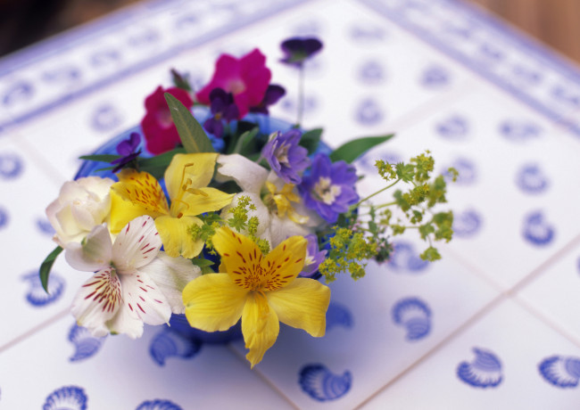 Обои картинки фото цветы, букеты, композиции