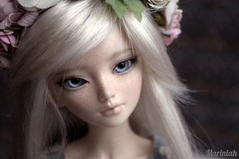 Картинка разное игрушки кукла венок