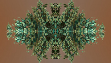 Картинка 3д+графика фракталы+ fractal цвета фон узор