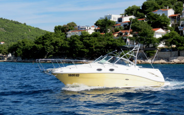 Картинка корабли катера