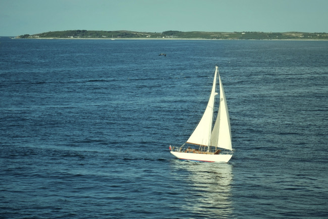 Обои картинки фото корабли, Яхты, парус