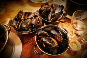 Картинка еда рыба +морепродукты +суши +роллы мидии