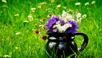 Картинка цветы букеты +композиции ромашки кувшин ягоды