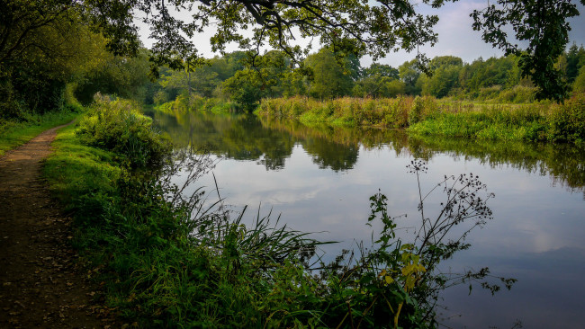 Обои картинки фото природа, реки, озера, река, лес