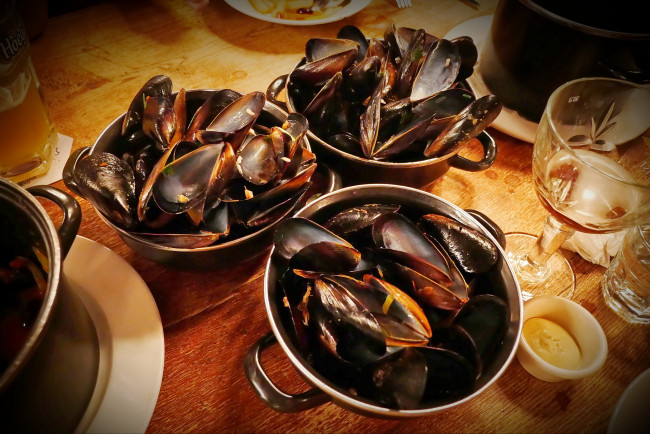 Обои картинки фото еда, рыба,  морепродукты,  суши,  роллы, мидии