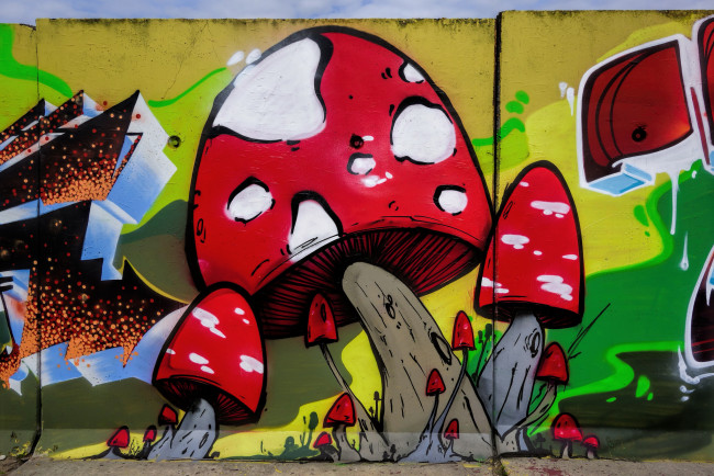 Обои картинки фото разное, граффити, город, графити, стена
