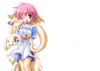 Картинка аниме животные +существа фон девушка взгляд