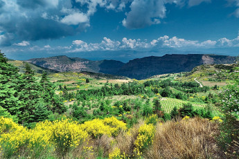 Картинка природа пейзажи простор