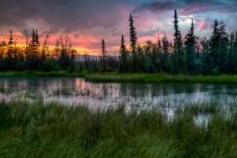 Картинка природа реки озера лес река