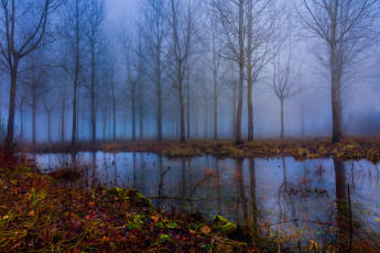 Картинка природа реки озера река лес