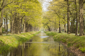 Картинка природа парк простор