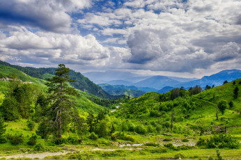 Картинка природа пейзажи простор