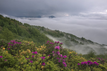 Картинка природа пейзажи простор