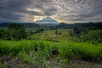 Картинка природа пейзажи простор