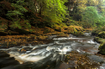 Картинка природа реки озера лес река