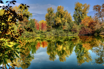 Картинка природа реки озера лес река