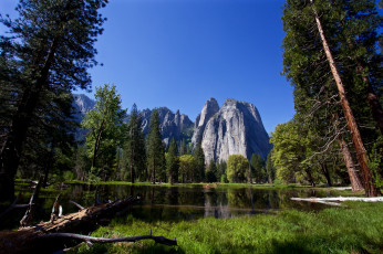 Картинка природа реки озера лес река