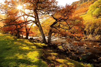 Картинка природа реки озера река лес