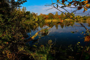 Картинка природа реки озера река лес