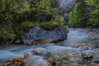 Картинка природа реки озера река лес