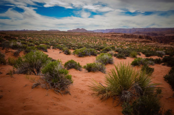 Картинка природа пустыни простор