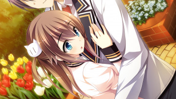 Картинка аниме mote+sugite+shuraba+na+ore девушка взгляд фон