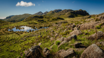 Картинка природа пейзажи простор