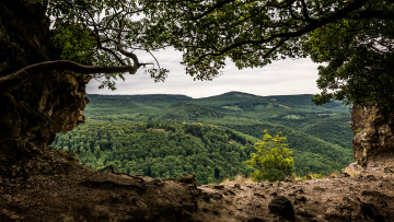 Картинка природа пейзажи простор