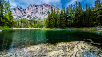 Картинка природа реки озера река лес