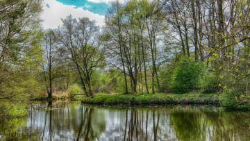 Картинка природа реки озера река лес