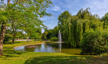 Картинка природа парк простор