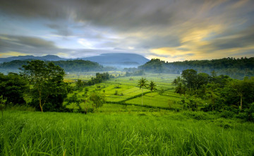 Картинка природа пейзажи простор