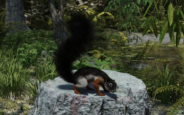 Картинка 3д+графика животные+ animals белка