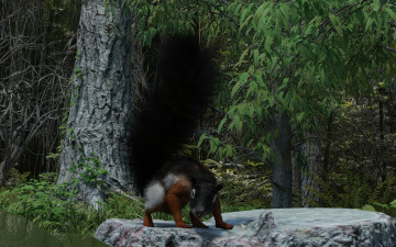 Картинка 3д+графика животные+ animals белка